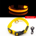 LED Dog Collar - Gadgets Fortress 